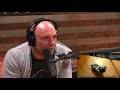 Joe Rogan on YouTuber Being Convicted of Hate Crime