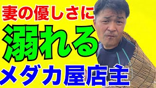 世界メダカ奇行岡山県倉敷市ひよこめだか中編/ひよこめだか店主の決意/メダカプレゼント