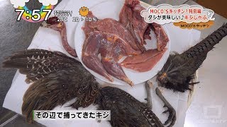 モコズキッチン？30～キジ猟で絶品ジビエ料理作り-調理篇-～Excellent jibei cuisine with pheasant hunting-cooking