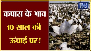 कपास के भाव 10 साल की ऊंचाई पर ! Market Times TV #cotton #kapas #kapasmandi #कपास