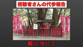 【視聴者さんの皇室安寧代参報告】観心寺　2023年3月16日