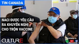 🔴 TIN CANADA 03/05 | CANADA khuyến nghị tiêm vaccine Johnson & Johnson cho người 30+ tuổi