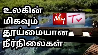 உலகின் மிகவும் தூய்மையான நீர் நிலைகள் MY TV Tamil