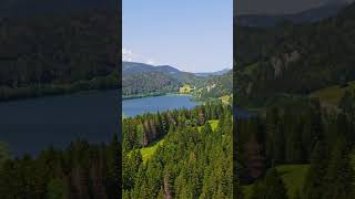 Mesmerizing Drone Footage of Lake Vallée de Joux in Switzerland #switzerland #aerial #drone #dji