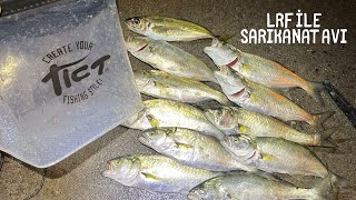 LRF İLE EFSANE SARIKANAT AVI-AT ÇEK SARIKANAT-ÇİNEKOP AVI #balıkçılık #fishing #lrf #balıkavı