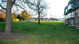 Homes for sale - 924 Ridge Sq., Apt. 312, Elk Grove Village, IL 60007