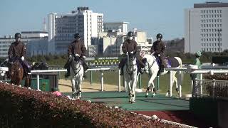 誘導馬4頭整列 中京競馬場 サンレイデューク アラビアンドラゴン スリーマーゴーン タブレットピーシー 午後のレース本馬場入り後 2022/1/22