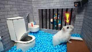 Hamster Escapes Prison Maze 🐹 Best of Hamster Adventures pets in real life 🛑Live Stream