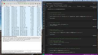 Manipulating DNS Packets with Scapy In Python