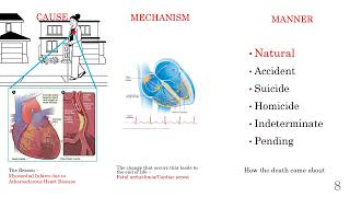 Intro to Autopsy 1