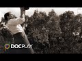 Tom Wills | Official Trailer | DocPlay