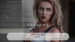 今夜的我好想你 - 望海高歌『秋雨淅瀝瀝我在想你』【動態歌詞Lyrics】