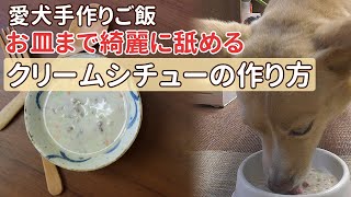 【簡単手作り犬ご飯】水分たっぷりヤギミルクのクリームシチューの作り方