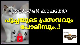 ചെമ്മാട്ടിൽ നിന്നും മലപ്പുറത്തേക്ക് പ്രസവിച്ച പൂച്ചക്കു മരുന്നു വാങ്ങാൻ പോകുന്നവർ😃😃😃