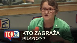 Kornik drukarz czy ekolodzy – Kto zagraża Puszczy Białowieskiej?