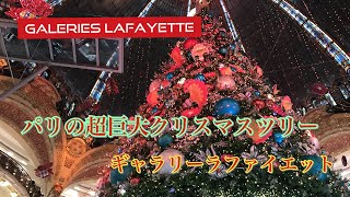 【OSMO POCKET】超巨大クリスマスツリーを観にラファイエットに行ってきた。【Vlog】I went to Galeries Lafayette to see a Christmas tree