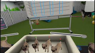 Prisms VR
