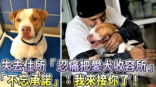 突然失去住所「忍痛把愛犬收容所」「不忘承諾」：我來接你了！|狗狗故事