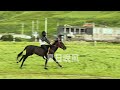 【2024.07.25】tenzin tsundue is riding horse in his village 丁真在家乡村里骑马