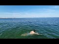 for hot u0026 swim beach lovers amager beach copenhagen denmark best tourists place