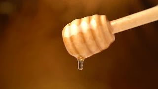 Honey Dripping Stock Video