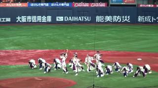 ゑにし　2013年6月15日　よさこい祭り大阪（京セラドーム）