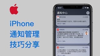 如何高效管理iPhone上的通知？分享一些我的使用经验