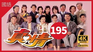 TVB Drama 真情 4K 60fps 第195集 | A Kindred Spirit |  薛家燕 李司棋 劉丹 曾江 郭可盈 關海山 劉愷威 黃智賢