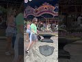 My Mom Flew To Disney World To Pull The Sword Out Of The Stone!