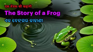 The Story of a Frog | एक मेंढक की कहानी | Motivation Story | Biswajit Explores