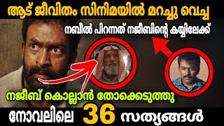 ഇത്രേം മാറ്റങ്ങൾ ഉണ്ടായിരുന്നോ?😲🔥🔥Aadujeevitham Novel Vs Movie Comaparison | Movie Mania Malayalam