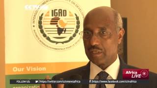 South Sudan Mediation, IGAD Plus Launched In Addis Ababa