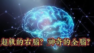 【你是左腦人，還是右腦人？】右腦人是創意天才嗎？右腦圖像學習神奇快？右腦開發有神奇的威力嗎？左撇子是右腦人嗎？