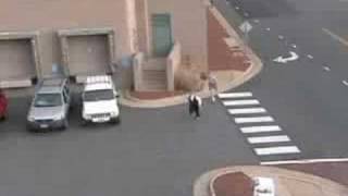 The Chase.avi