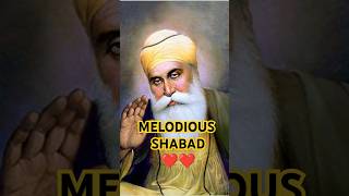 MELODIOUS SHABAD #shortsfeed #shortsvideo #shorts #short #viralshort #viralvideo #shortfeed #shots