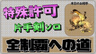 【超特金雷公編】特殊許可片手剣ソロ全制覇への道【MHXX】