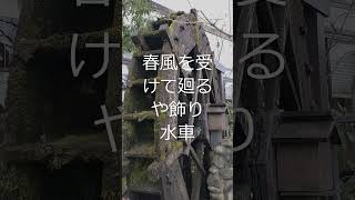 水車俳句#shorts 動画俳句　小山宗太郎の俳句