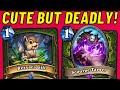 This Hunter Deck has EVERYTHING! Rexxar's Gift Combo!