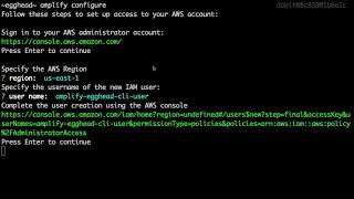 Installing & Configuring the AWS Amplify CLI