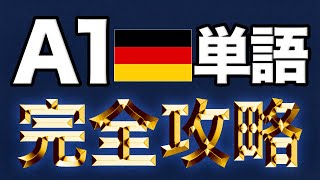 ドイツ語A1試験の重要694単語と例文【初心者必見・総集編】