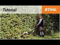 Electric long-reach hedge trimmer cutting technique: vertical cutting with fully extended cutter bar