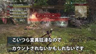 【DDON】Lv73狂侵ピクシー(ジョブ修練)