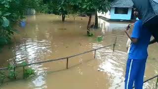 Karulai Rain