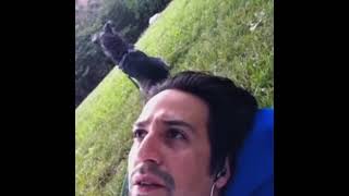 “Come on brain” Lin Manuel Miranda vine