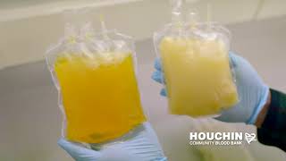 What Happens to Your Plasma Donation When You Have a Poor Diet