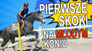 Pierwsze skoki na młodym koniu