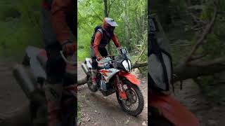 Logs? Cleared with ease on the KTM 890 ADVENTURE R!