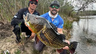 DE VOLTA AO PARAÍSO DOS TUCUNARÉS - RIO PASIVA VENEZUELA