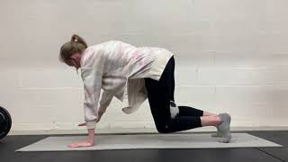 Quadruped knee hovers + alternating hand lifts