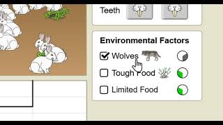 PhET Simulation Introduction: Natural Selection